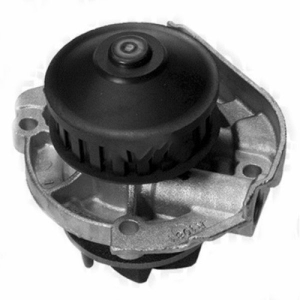 画像2: ウォーターポンプ(パンダ) (2)