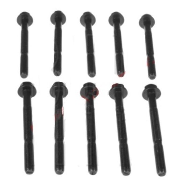 画像2: ヘッド ガスケット & ストレッチ ボルト キット(パンダ) (2)