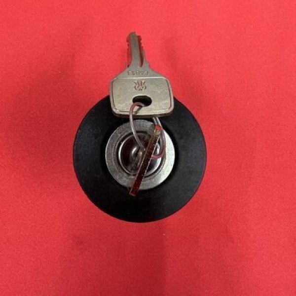 画像2: ガソリンキャップショート(金属キー)(パンダ) (2)